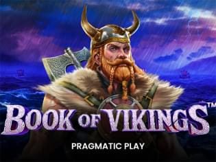 Book of Vikings screenshot